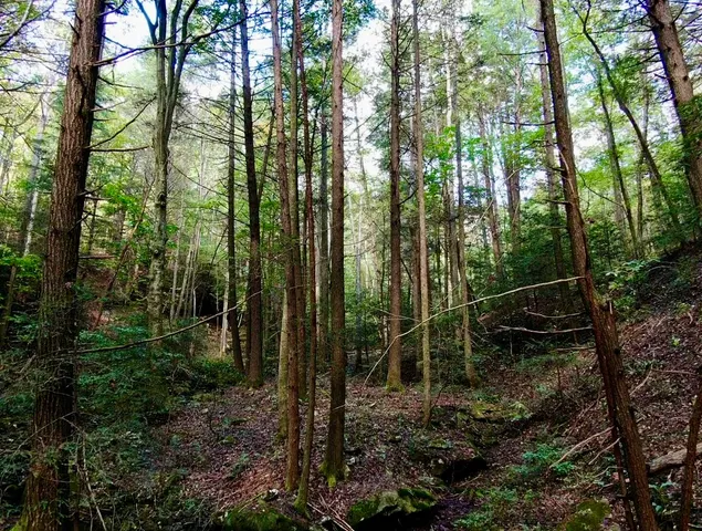 $600,000 | 0 Braden Lane, Coalmont, TN 37313