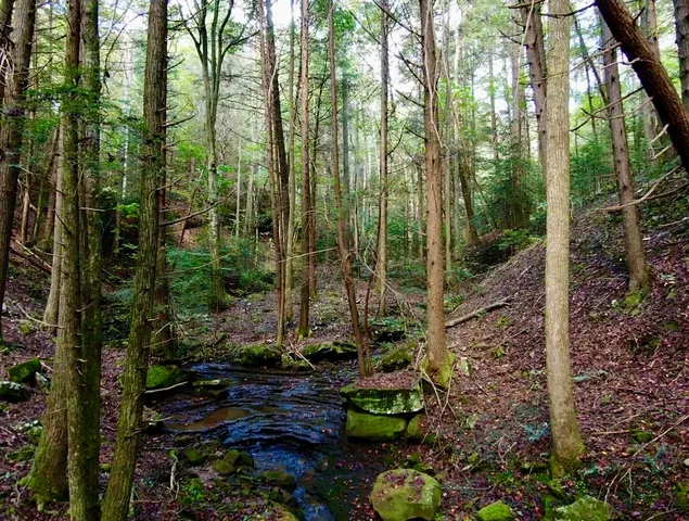 $600,000 | 0 Braden Lane, Coalmont, TN 37313