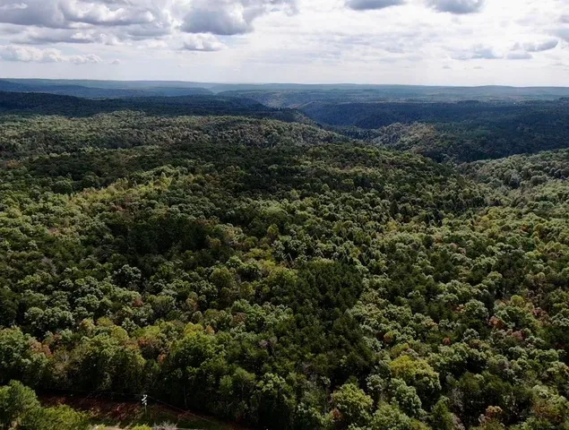 $600,000 | 0 Braden Lane, Coalmont, TN 37313