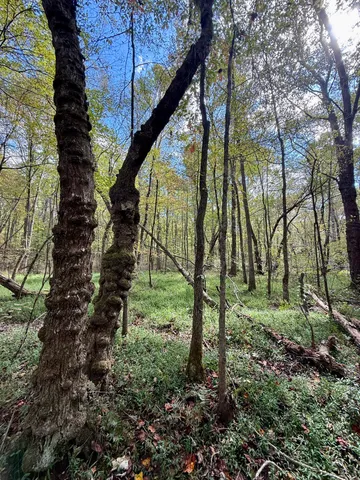$600,000 | 0 Braden Lane, Coalmont, TN 37313