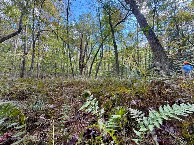 $600,000 | 0 Braden Lane, Coalmont, TN 37313