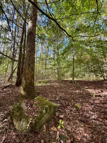 $600,000 | 0 Braden Lane, Coalmont, TN 37313