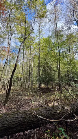 $600,000 | 0 Braden Lane, Coalmont, TN 37313