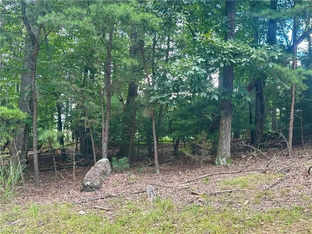 $45,000 | 132 Viewpoint Drive, Traphill, NC 28685