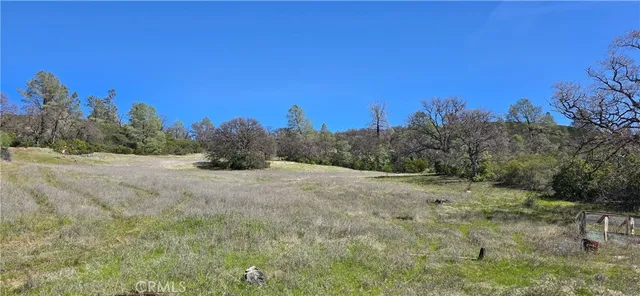 a view of a dry yard with trees in the background