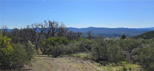 a view of a forest with a mountain