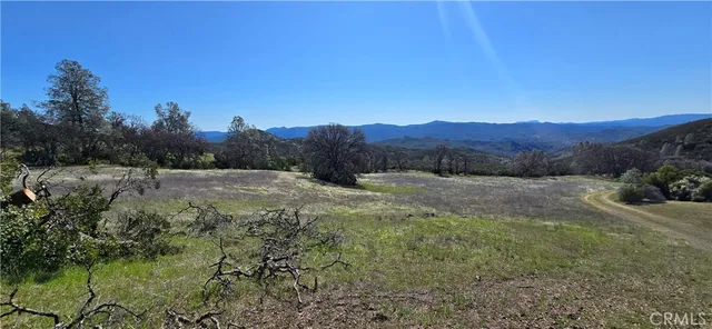 a view of a back yard