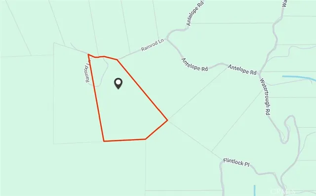 a backyard of a house with lots of trees