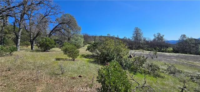 a view of a backyard with green space