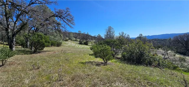 a view of a field with trees in background