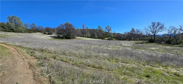 a view of an outdoor space and a yard