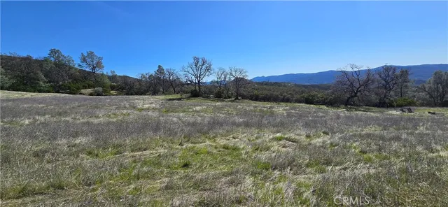 a view of an outdoor space and a yard