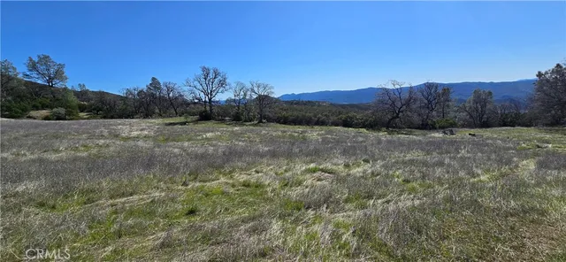 a view of a field of grass and trees