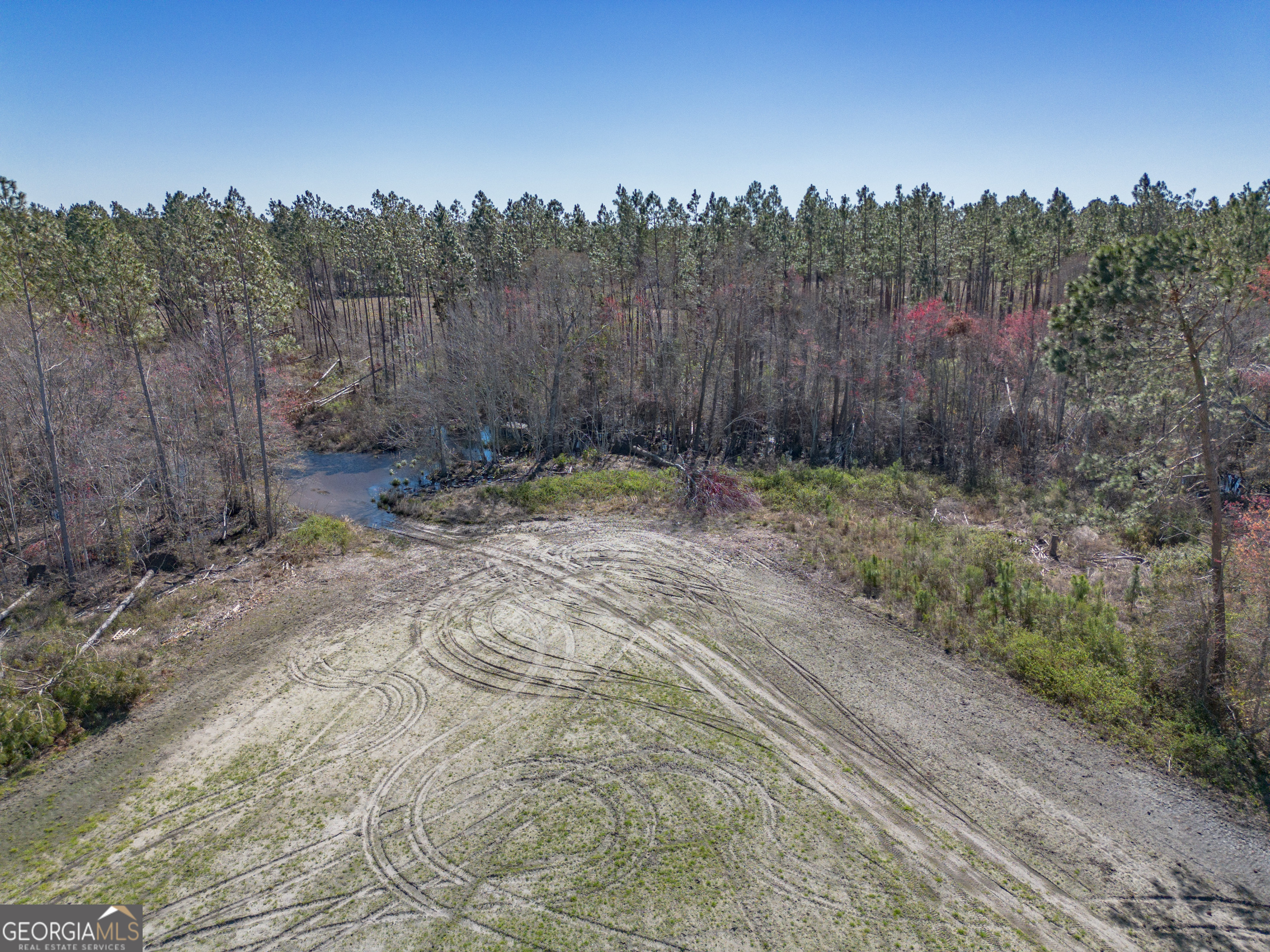0 Tm Mims Road Hazlehurst, GA 31539 - Photo 11 of 27 a view of a backyard with trees