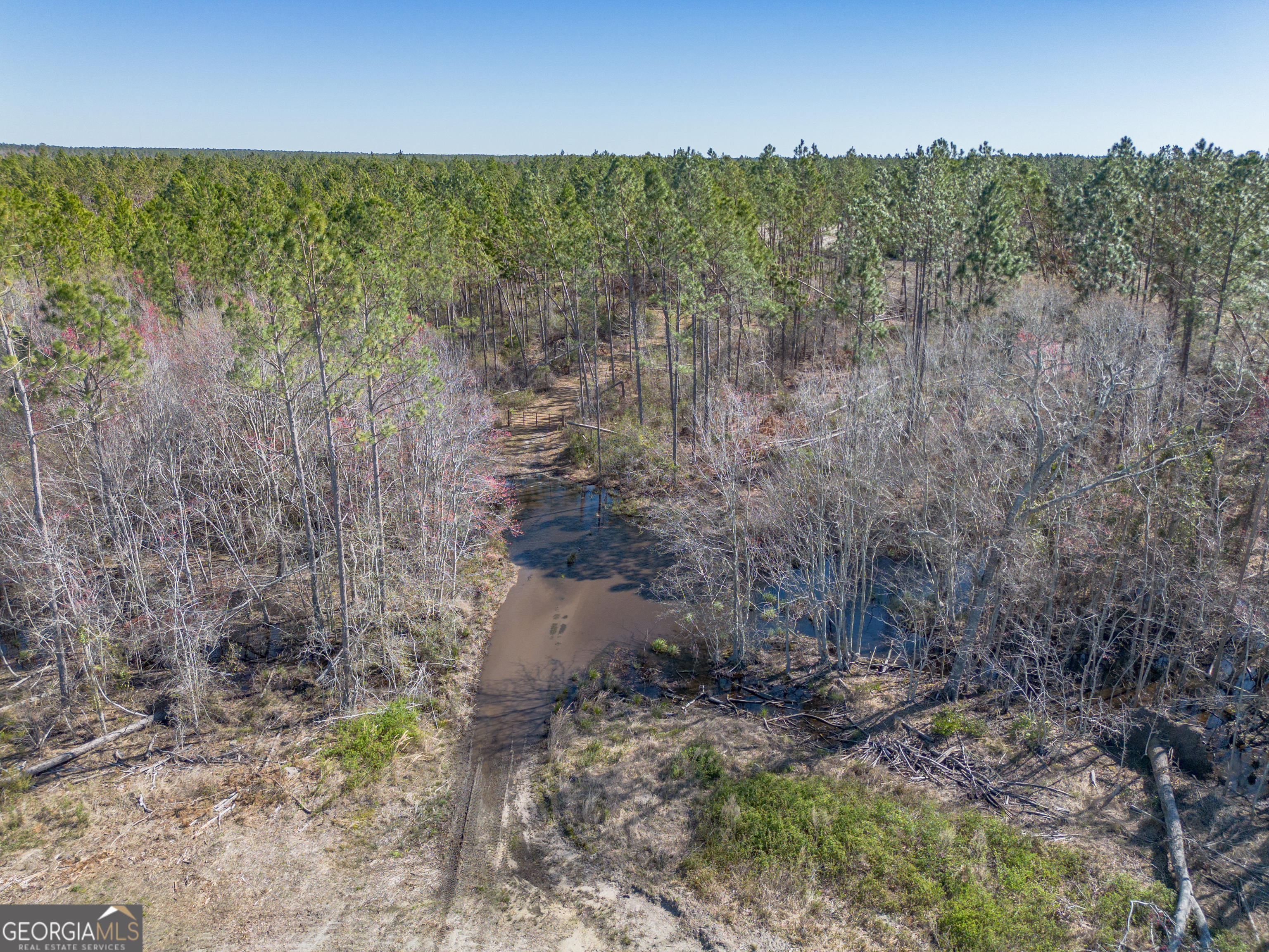 0 Tm Mims Road Hazlehurst, GA 31539 - Photo 12 of 27 a view of a forest with a house