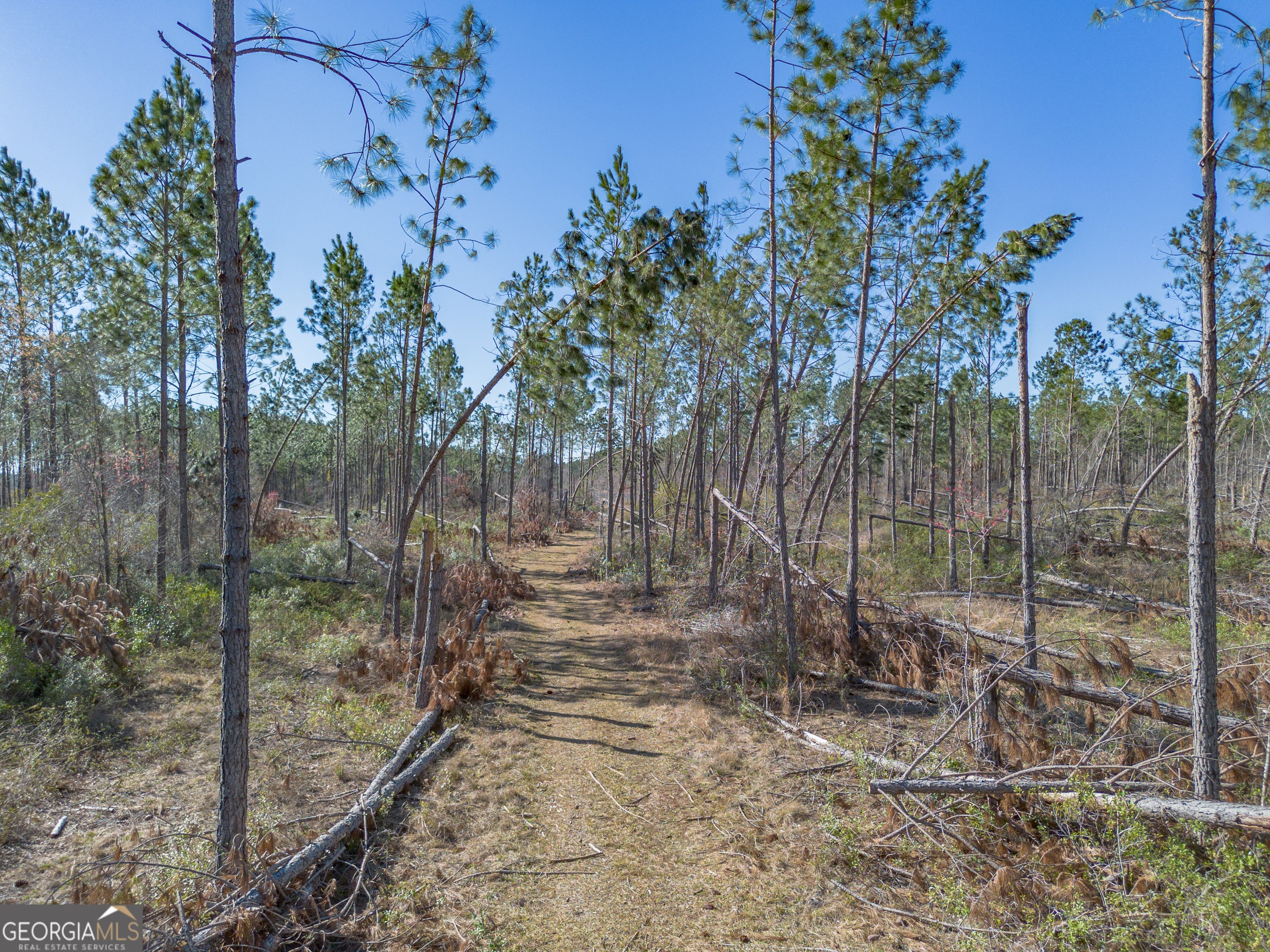 0 Tm Mims Road Hazlehurst, GA 31539 - Photo 14 of 27