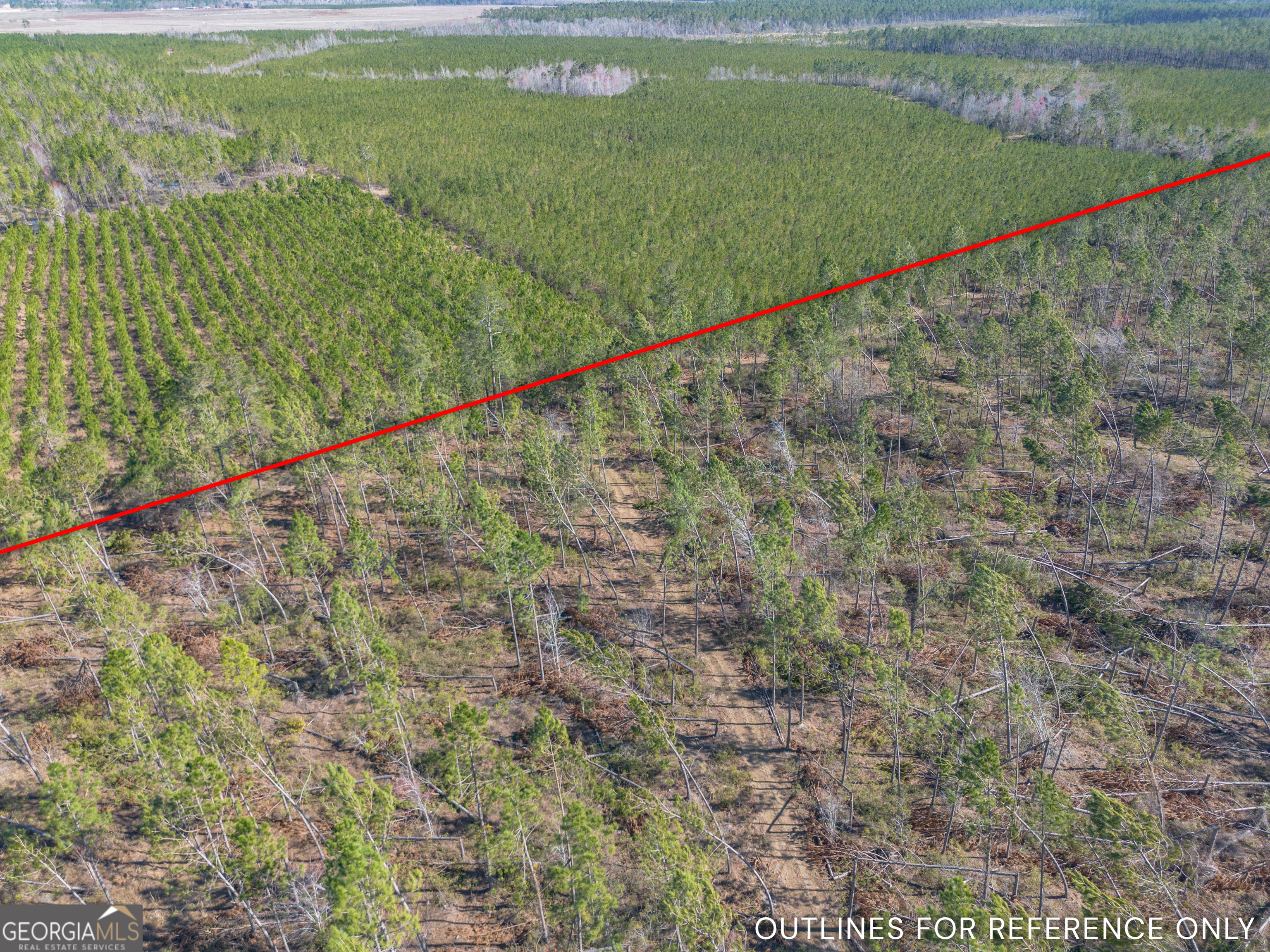 0 Tm Mims Road Hazlehurst, GA 31539 - Photo 15 of 27 a view of a field with an outdoor space