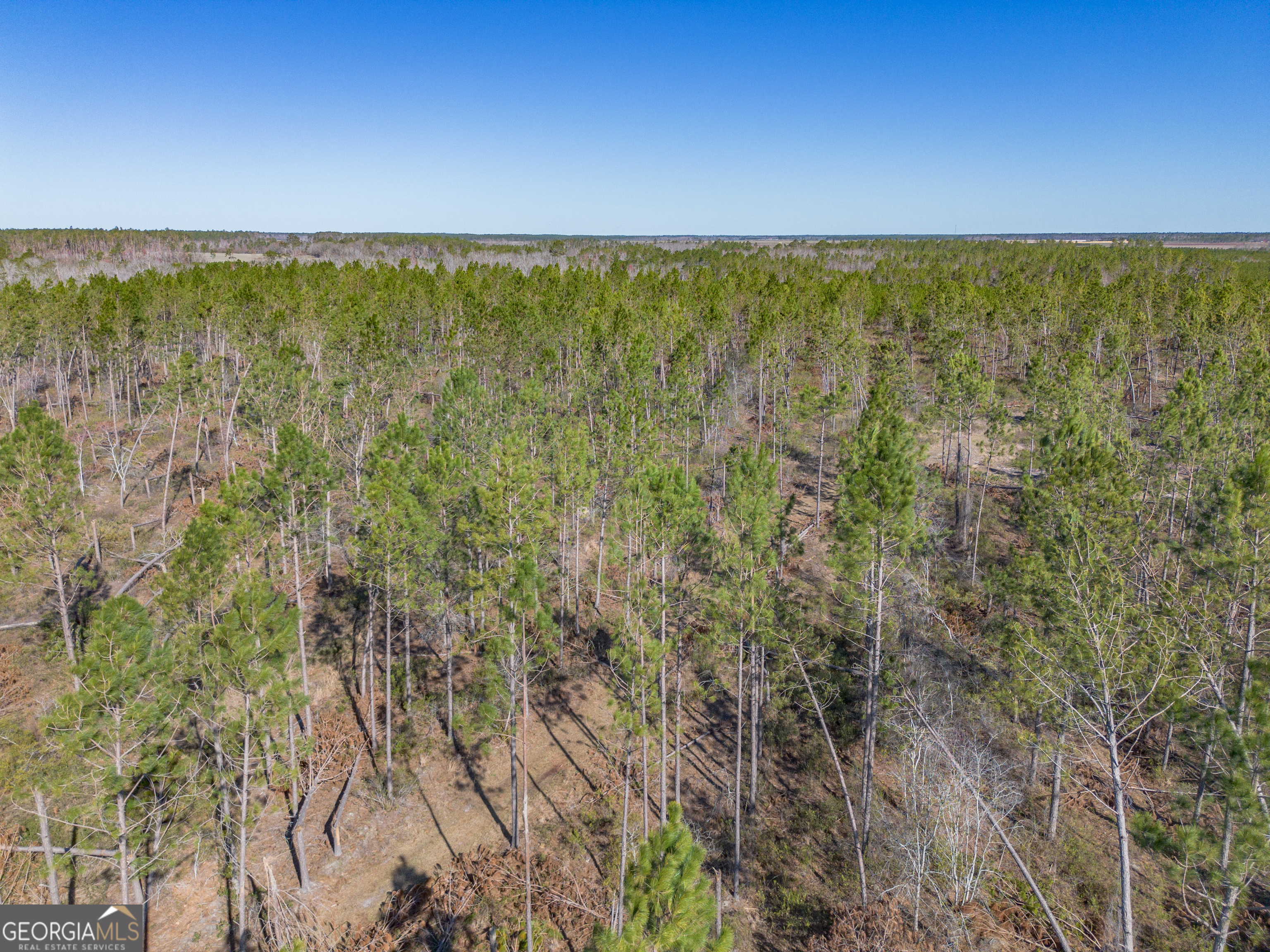0 Tm Mims Road Hazlehurst, GA 31539 - Photo 16 of 27 a view of an ocean