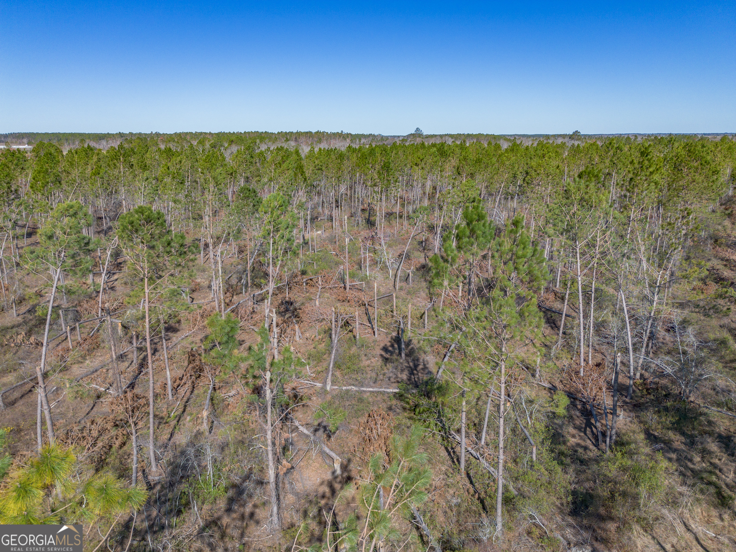 0 Tm Mims Road Hazlehurst, GA 31539 - Photo 17 of 27 a view of an outdoor space and a lake view