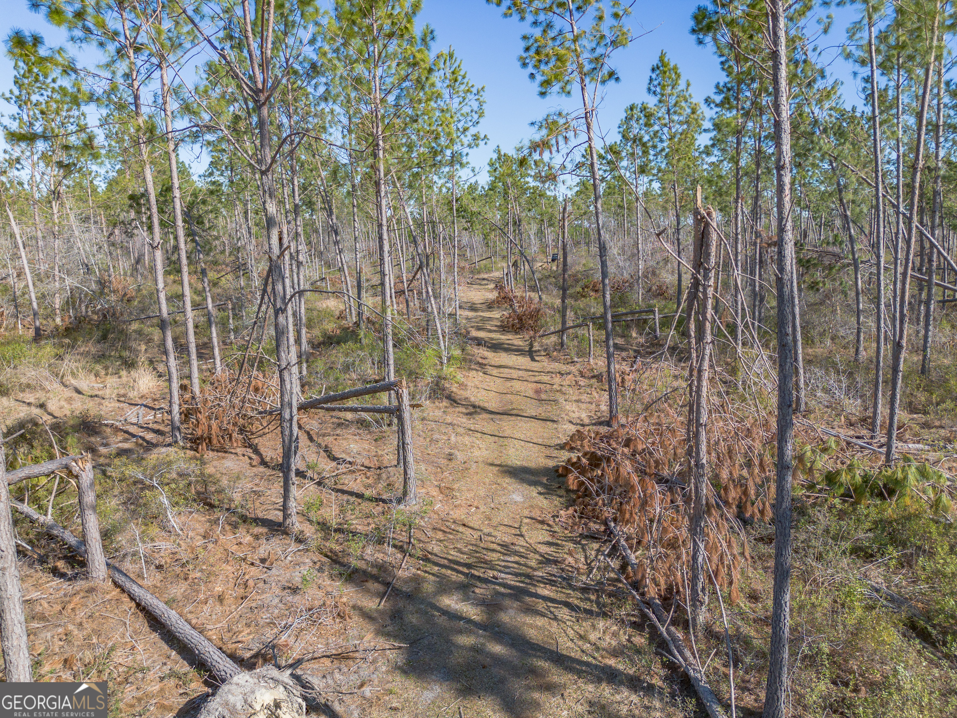 0 Tm Mims Road Hazlehurst, GA 31539 - Photo 18 of 27 a view of a pathway of a yard