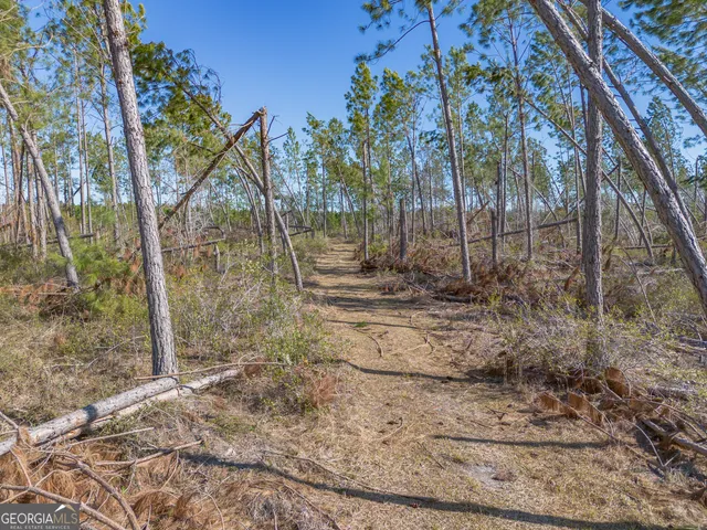 a view of a yard in front of a house