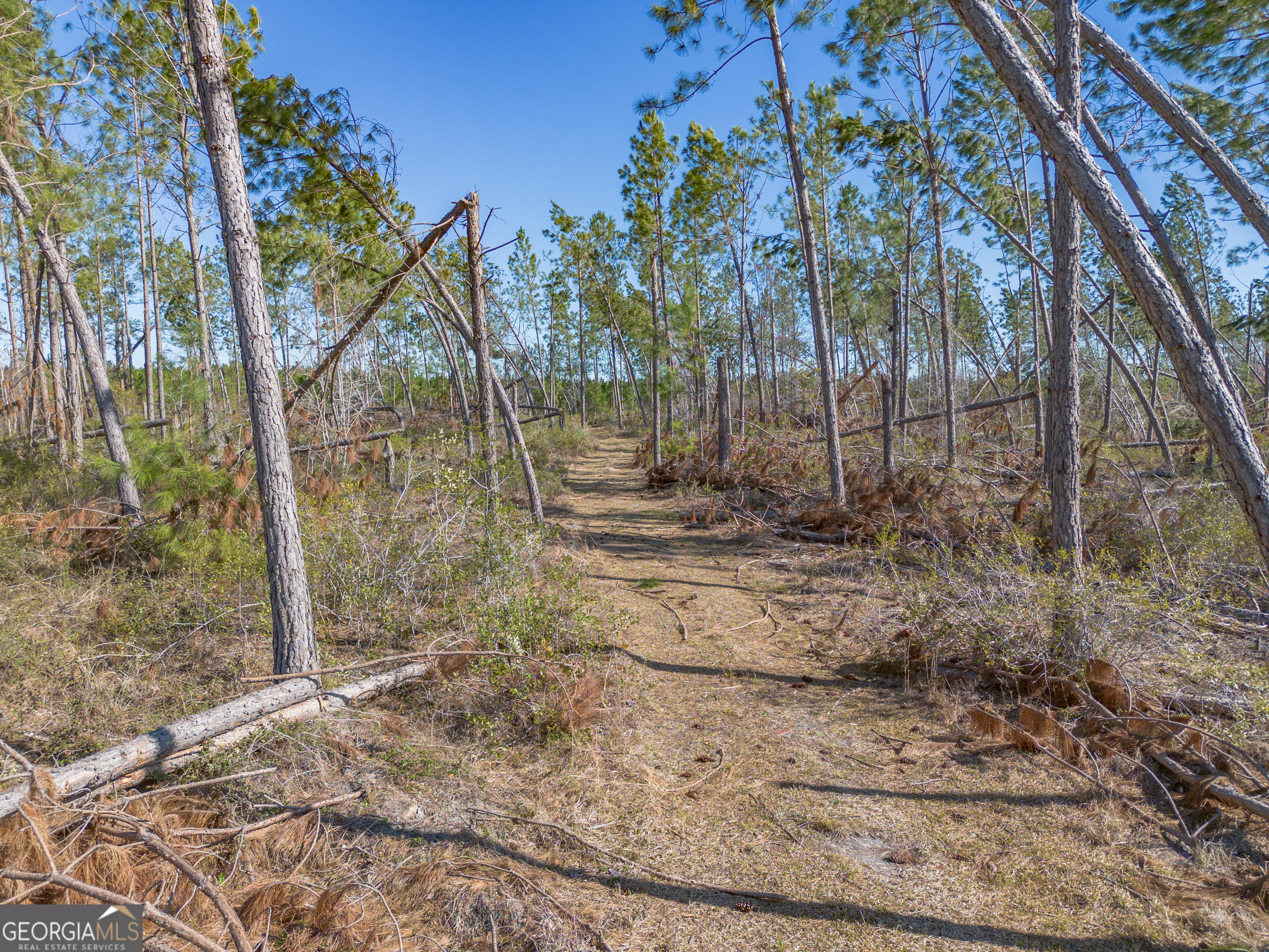 0 Tm Mims Road Hazlehurst, GA 31539 - Photo 19 of 27 a backyard of a house with lots of green space
