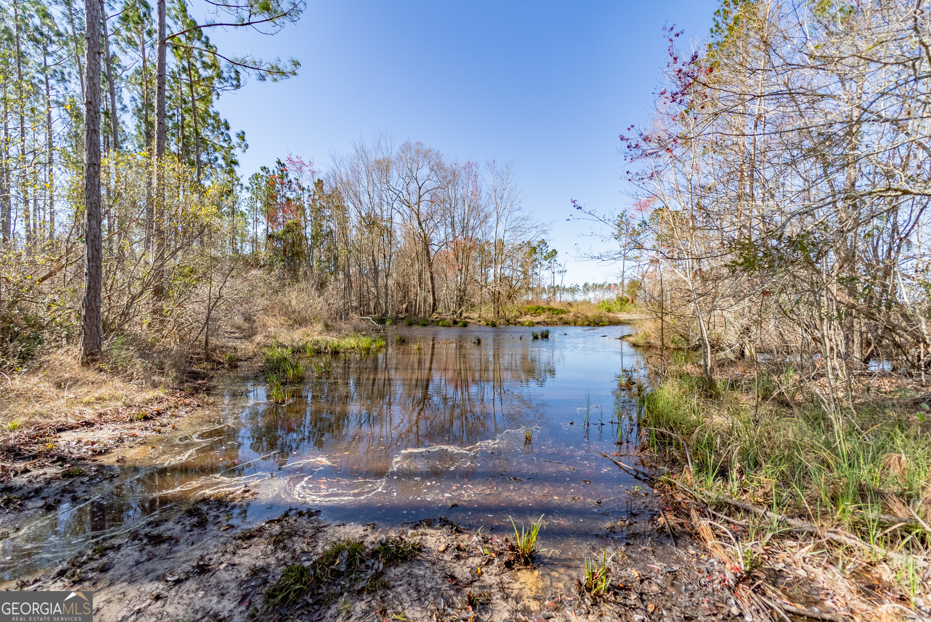 0 Tm Mims Road Hazlehurst, GA 31539 - Photo 20 of 27 a view of a yard in front of a house