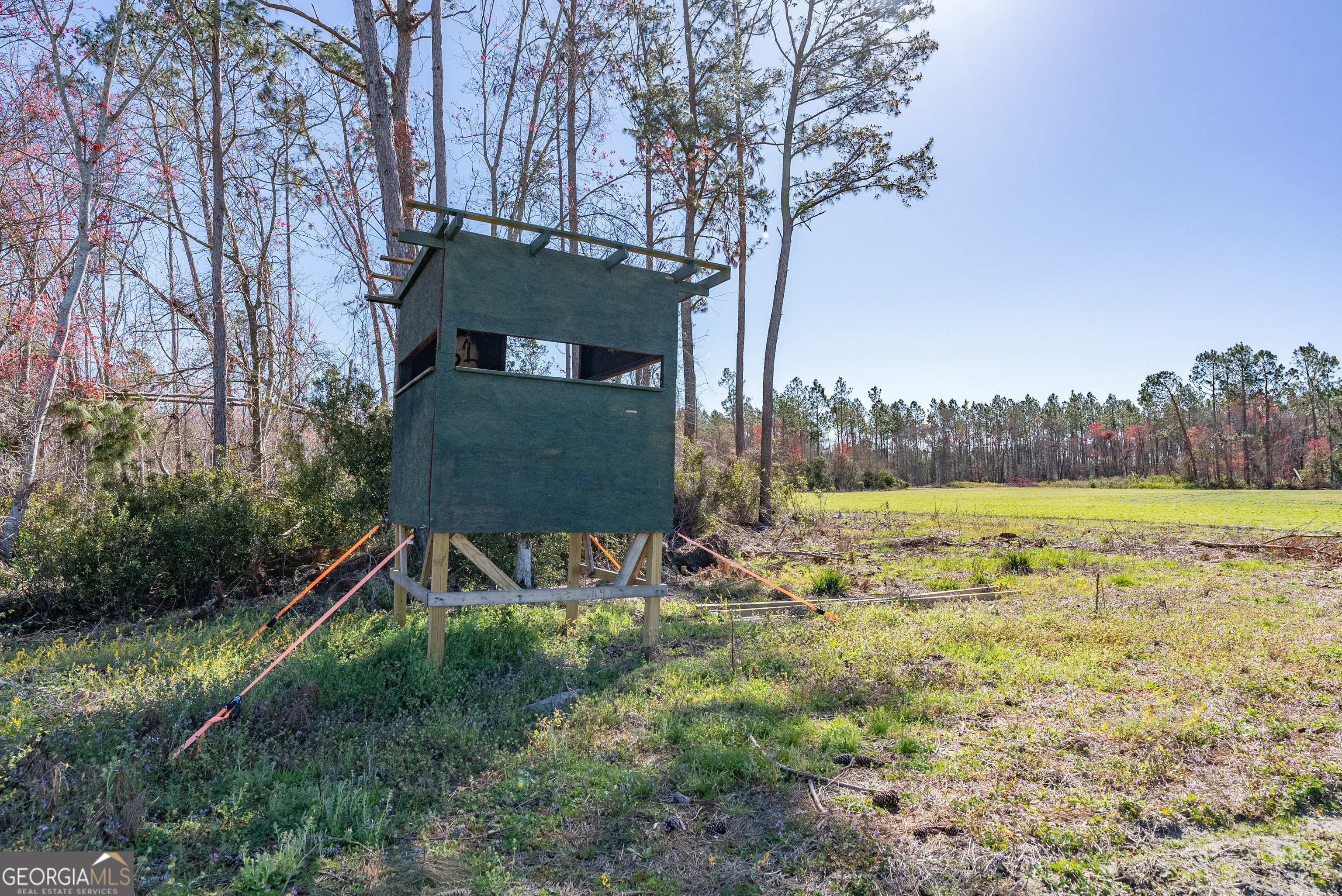 0 Tm Mims Road Hazlehurst, GA 31539 - Photo 21 of 27 a view of outdoor space and yard
