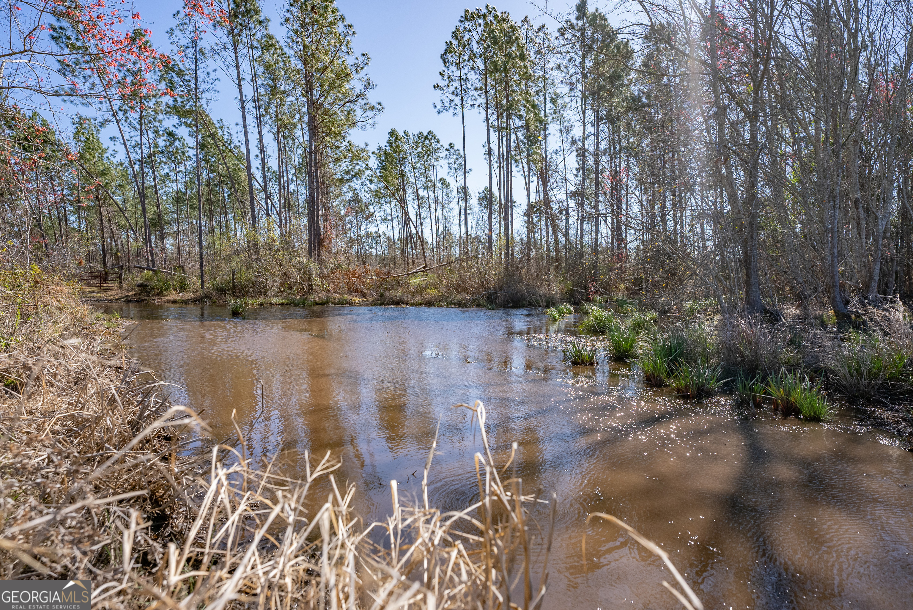 0 Tm Mims Road Hazlehurst, GA 31539 - Photo 22 of 27 a view of a lake with outdoor space