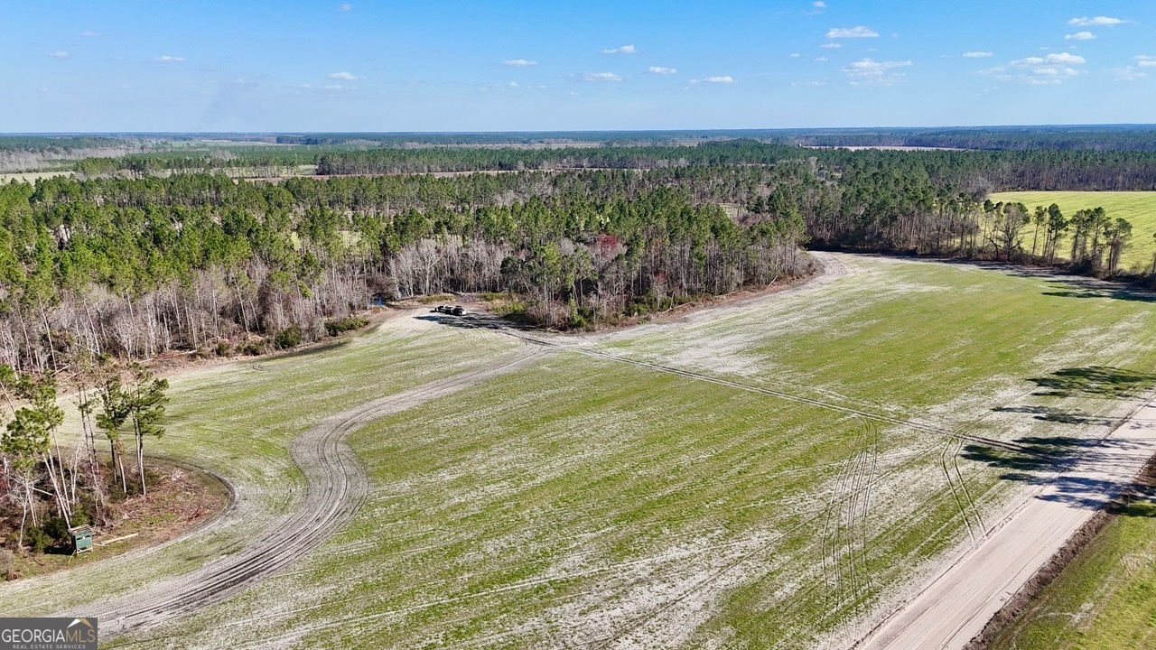 0 Tm Mims Road Hazlehurst, GA 31539 - Photo 23 of 27 a view of a big yard with an outdoor space