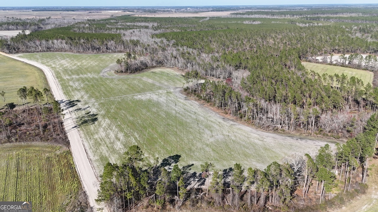 0 Tm Mims Road Hazlehurst, GA 31539 - Photo 24 of 27 a view of a lake with a mountain