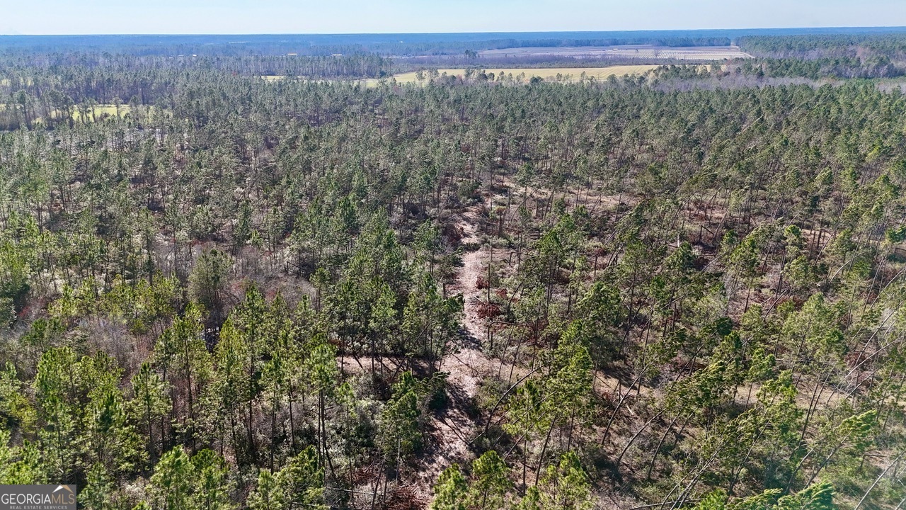 0 Tm Mims Road Hazlehurst, GA 31539 - Photo 25 of 27 a view of a with lush green forest