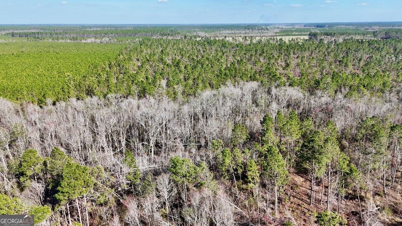 0 Tm Mims Road Hazlehurst, GA 31539 - Photo 26 of 27 a view of a green field with lots of bushes