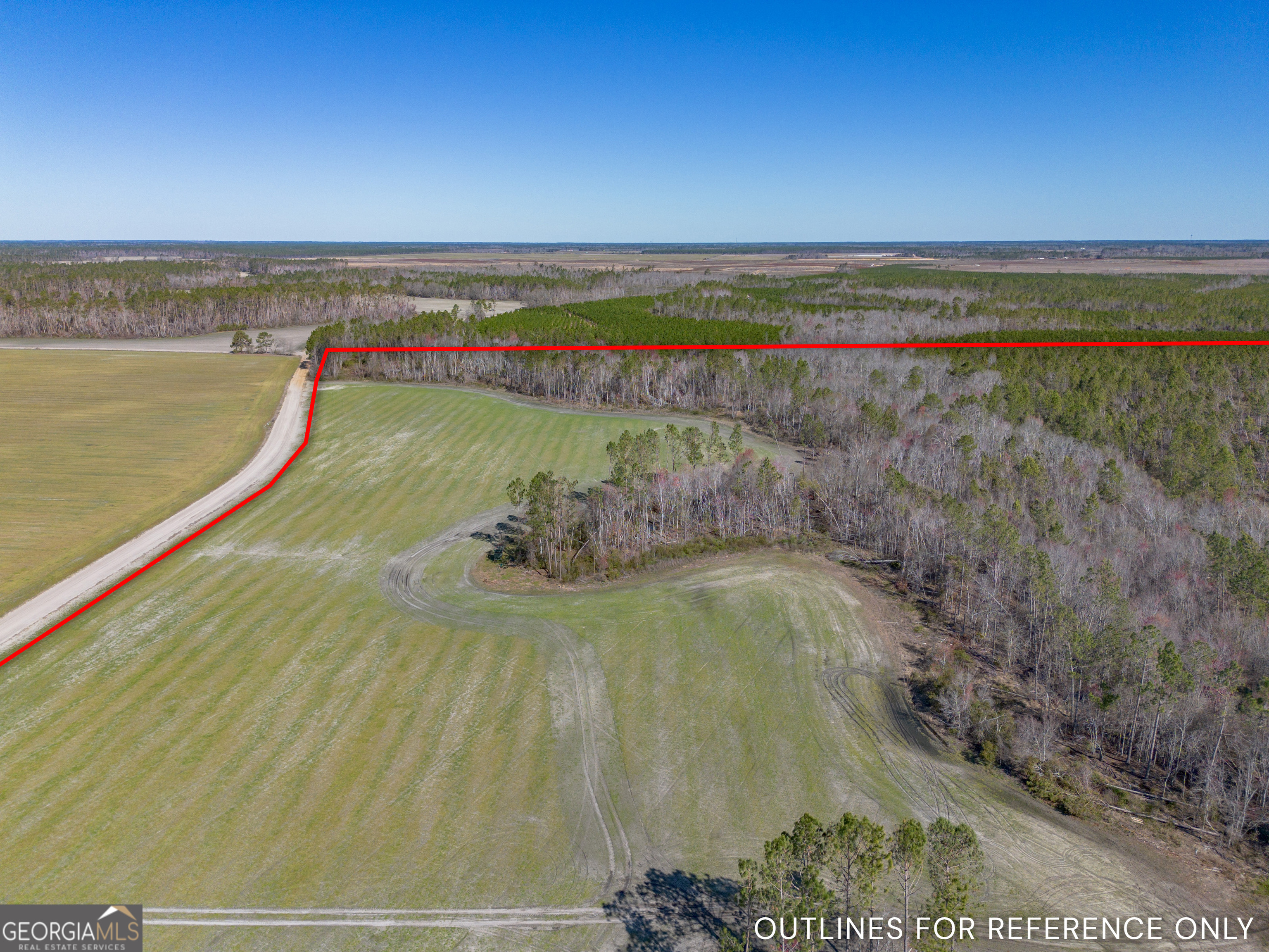 0 Tm Mims Road Hazlehurst, GA 31539 - Photo 4 of 27 a view of a lake