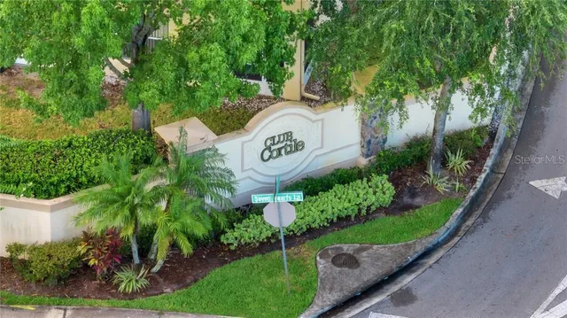 a view of a park with plants and tree