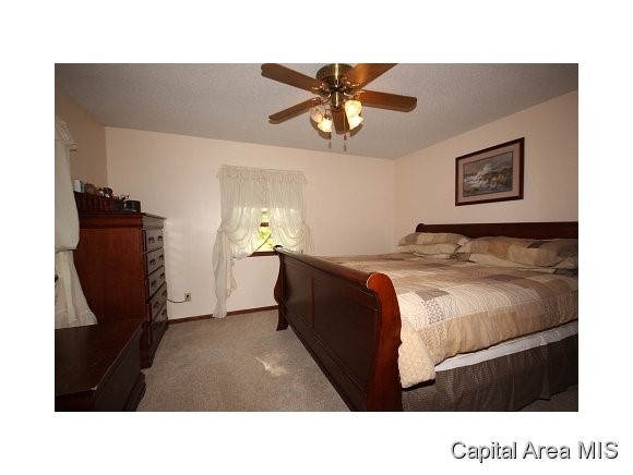 11749 Ross Road Rochester, IL 62563 - Photo 8 of 21 Gallery Image 8