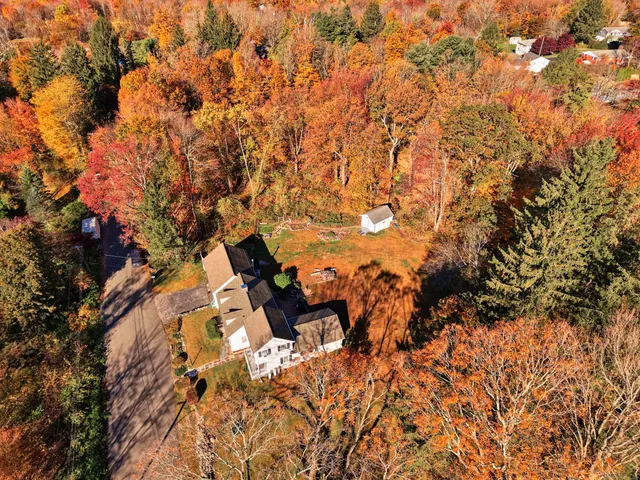 a view of a yard with plants and trees
