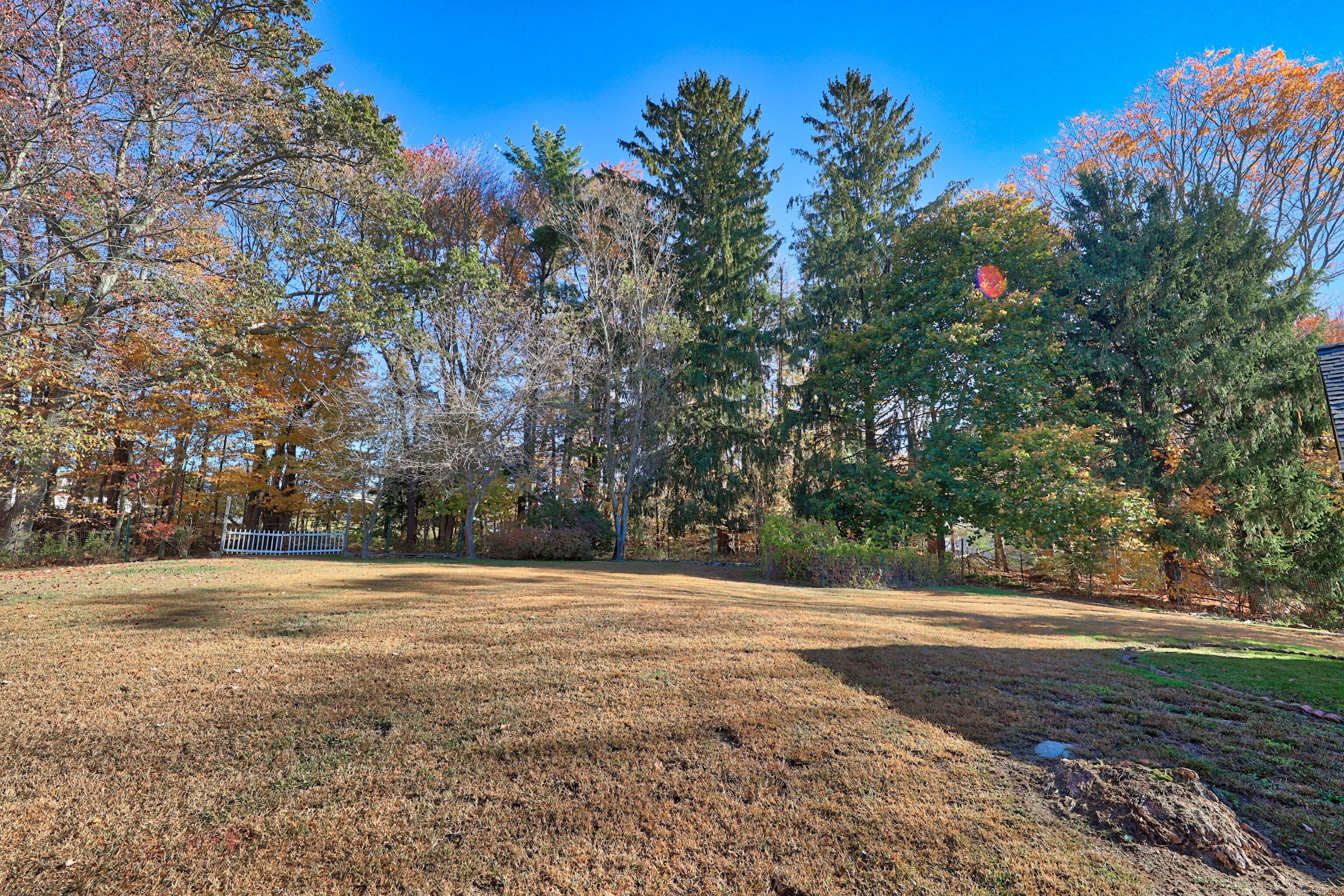 20 Hydelor Avenue Prospect, CT 06712 - Photo 33 of 40 a view of a yard with plants and trees