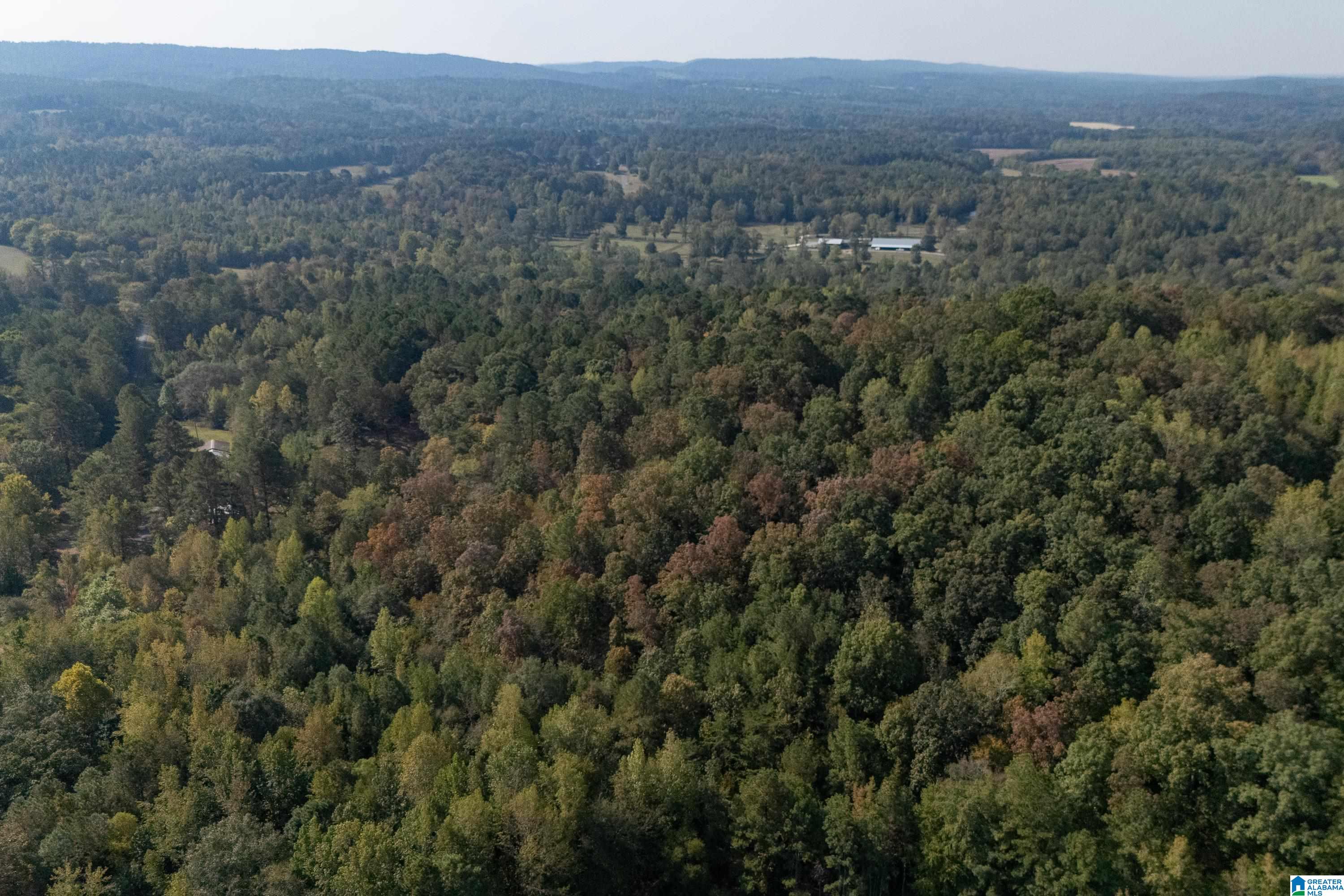 2787 Deavers Town Road Cleveland, AL 35049 - Photo 32 of 47