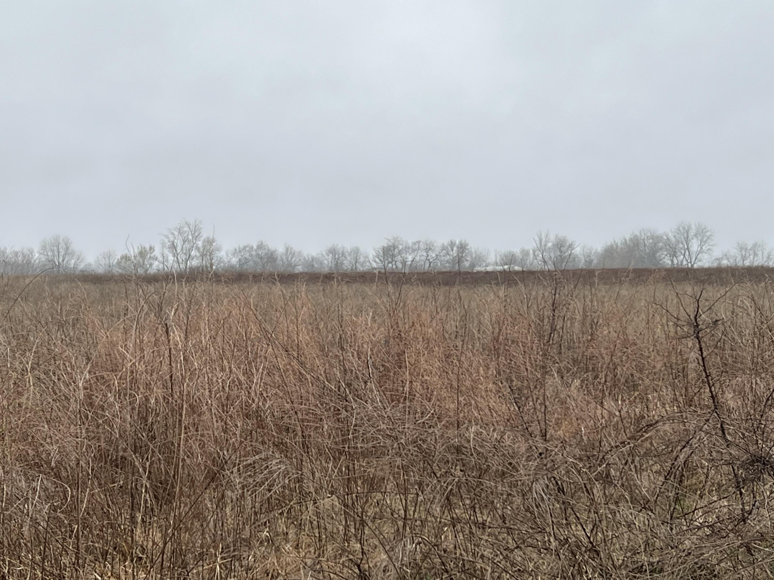 22489 Aspen Road Sarcoxie, MO 64862 - Photo 1 of 1 Property