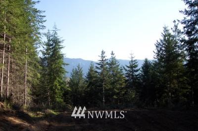 18 Kiona Road Randle, WA 98377 - Photo 1 of 1 Gallery Image 1