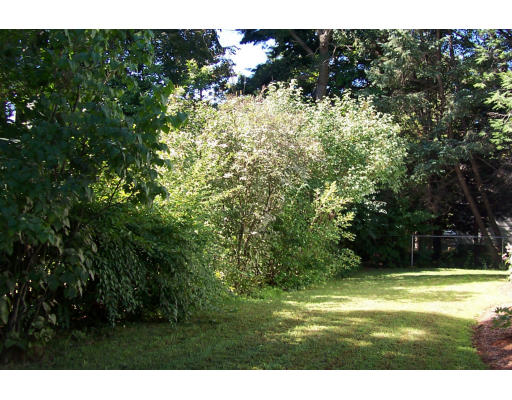 53 Deforest Road Newton, MA 02462 - Photo 4 of 9