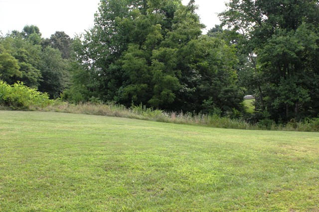 2828 Swelling Road Ferrum, VA 24088 - Photo 26 of 27 Side Yard