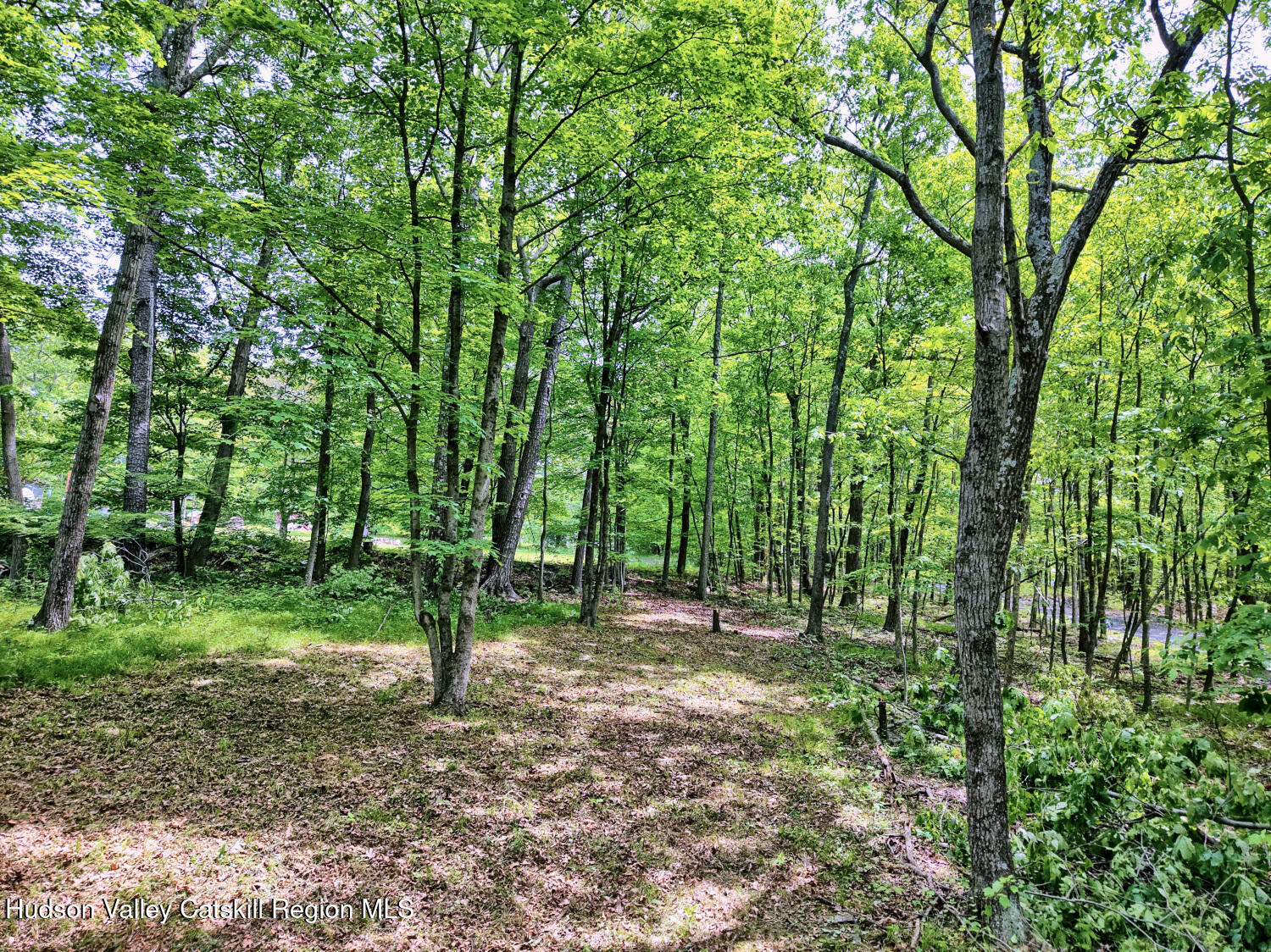 268 Potic Mountain Road Catskill, NY 12414 - Photo 11 of 33 a view of outdoor space with trees