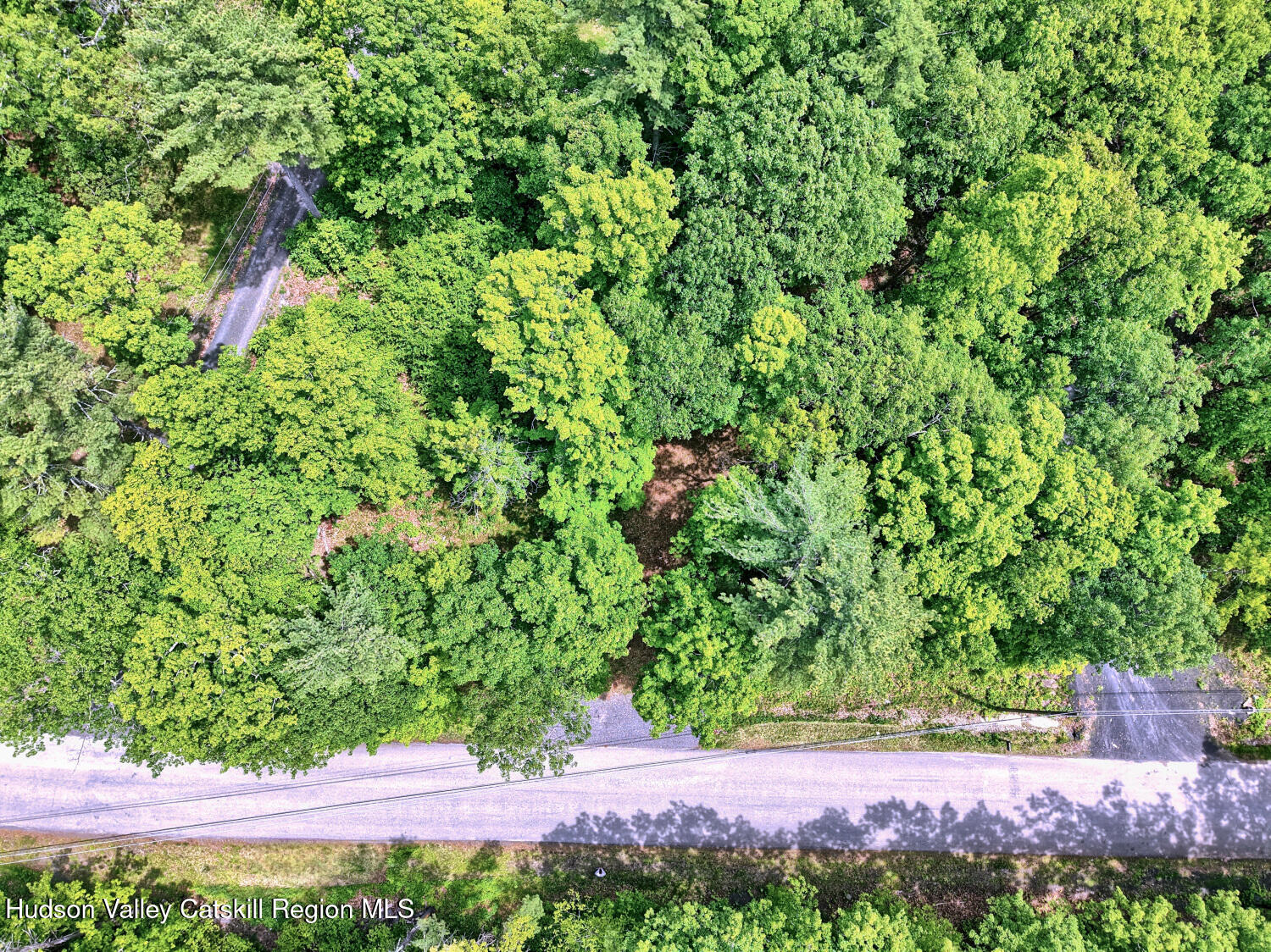 268 Potic Mountain Road Catskill, NY 12414 - Photo 14 of 33 a view of yard with green space