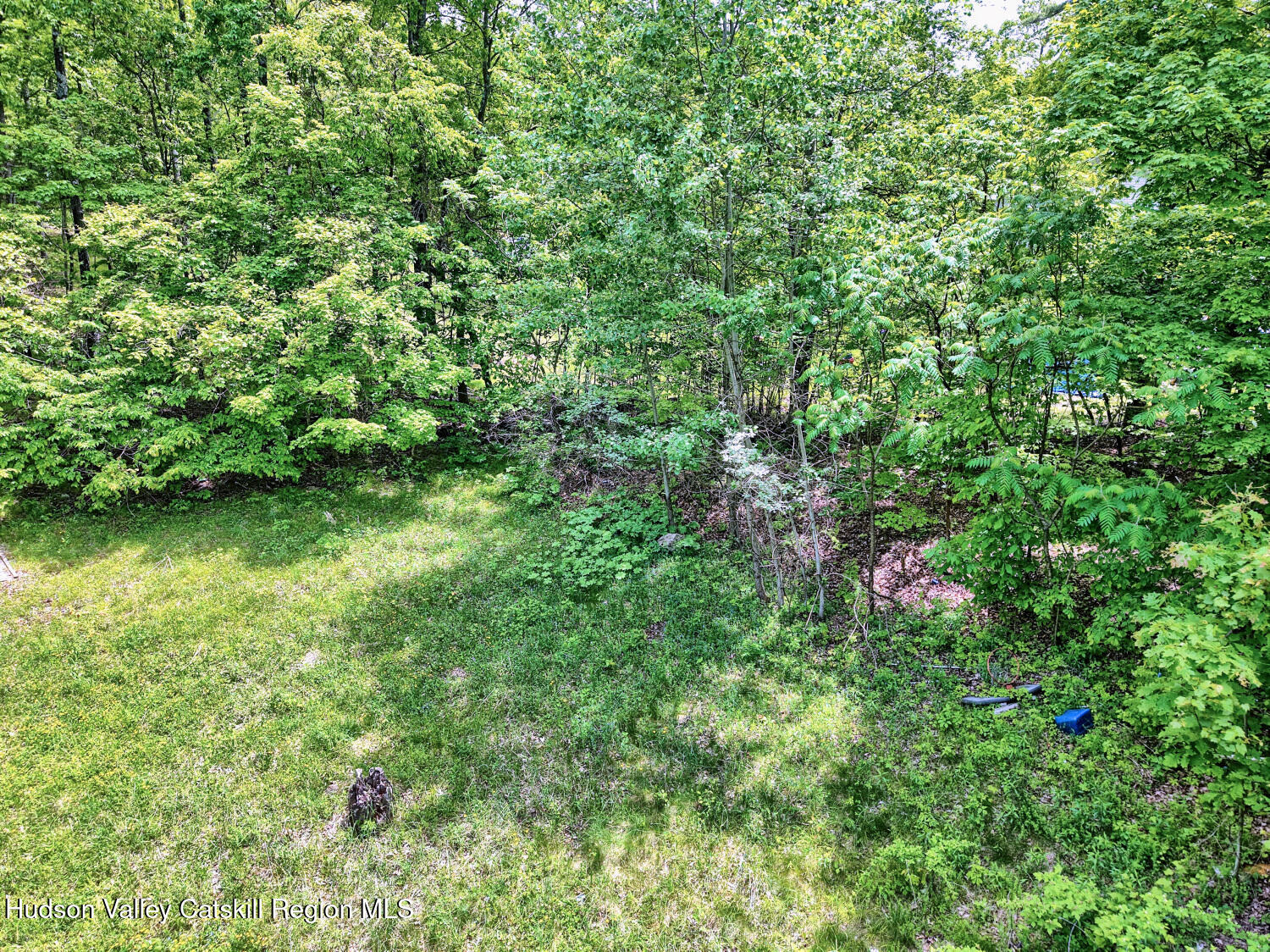 268 Potic Mountain Road Catskill, NY 12414 - Photo 19 of 33 a view of a garden with a lake