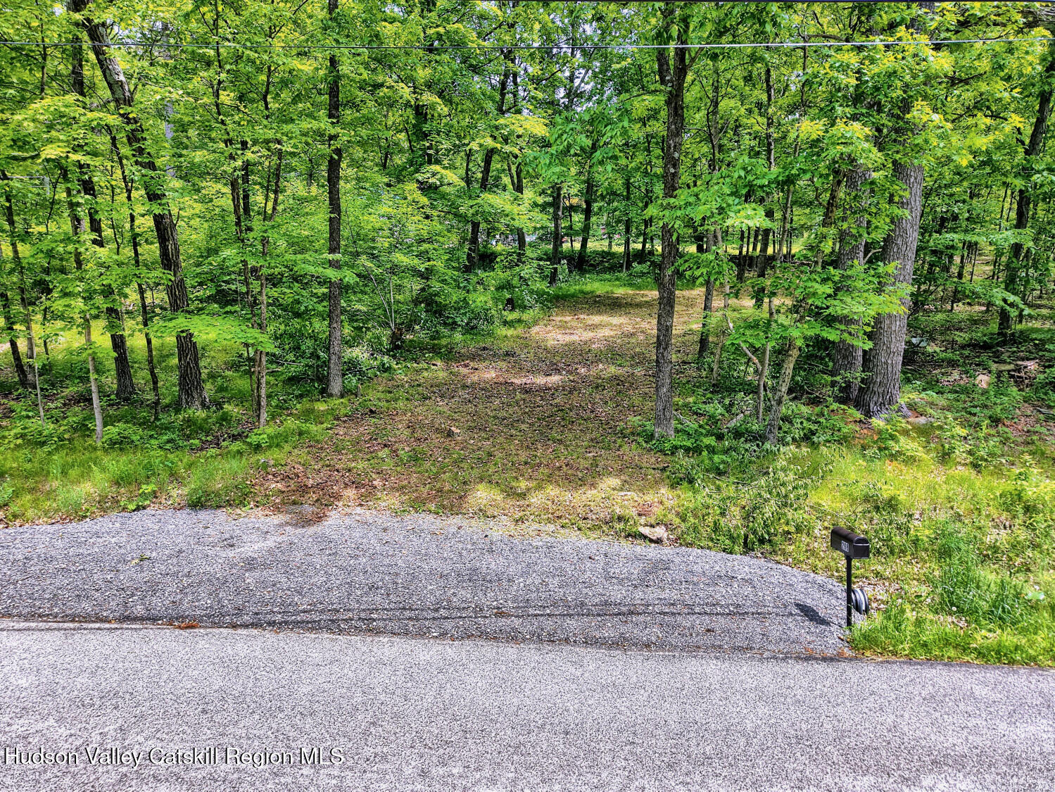 268 Potic Mountain Road Catskill, NY 12414 - Photo 2 of 33 a view of a yard with plants and large trees