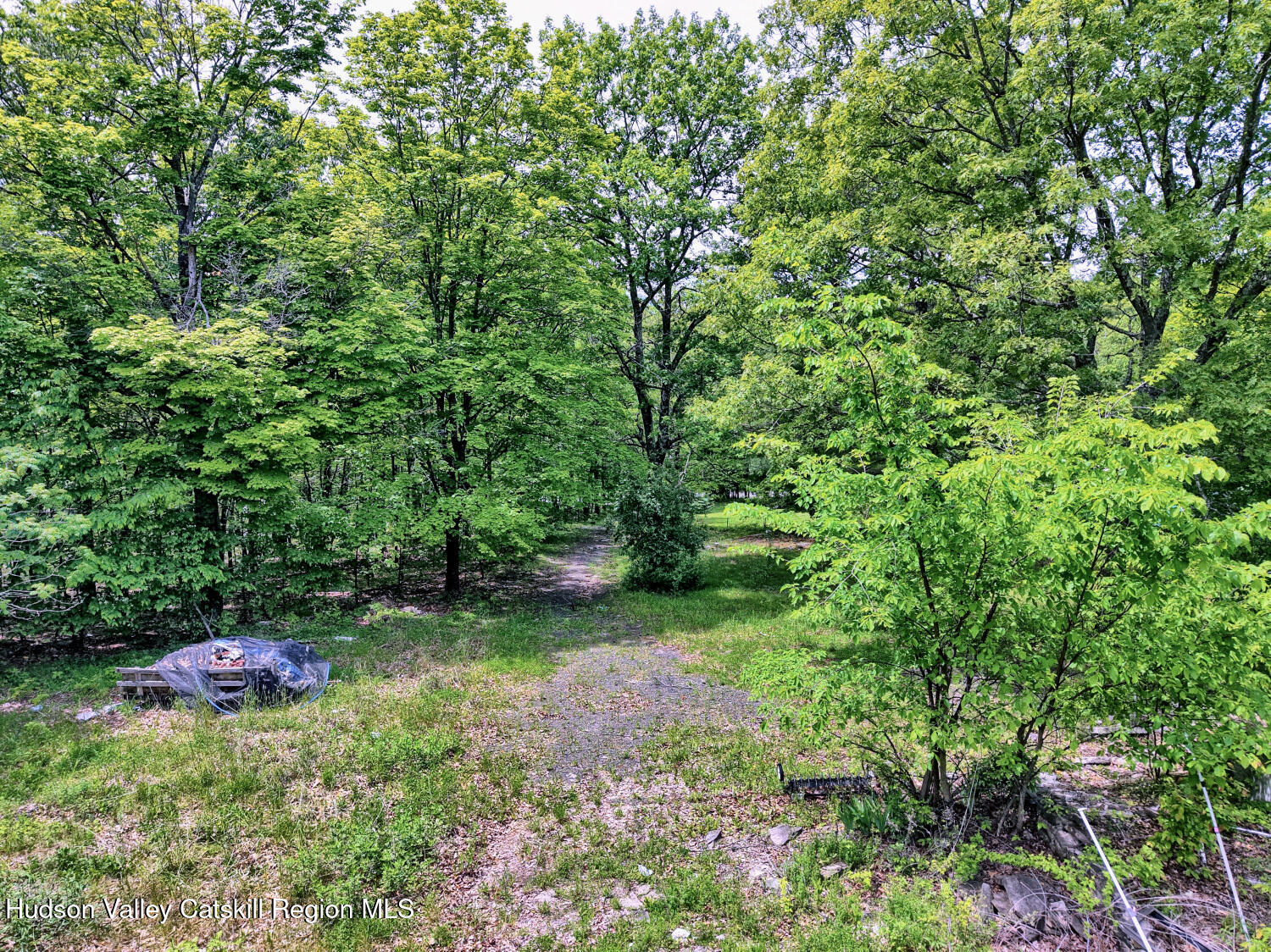268 Potic Mountain Road Catskill, NY 12414 - Photo 22 of 33 a view of a house with a yard