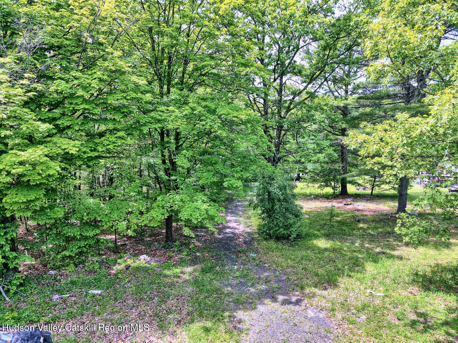 268 Potic Mountain Road Catskill, NY 12414 - Photo 23 of 33 a view of yard with green space