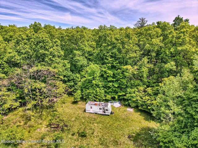 a view of a bunch of trees and a houses